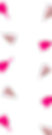 Untitled (1920 x 1080 px) (1920 x 1080 px) (7).png