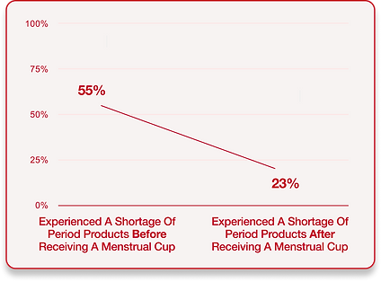 Period Poverty Graph .png